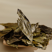 黄海强白茶2023年玄冬暮雪 100克