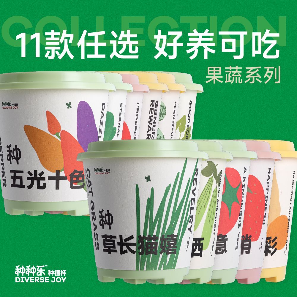 学生儿童种植杯种种乐好养可吃