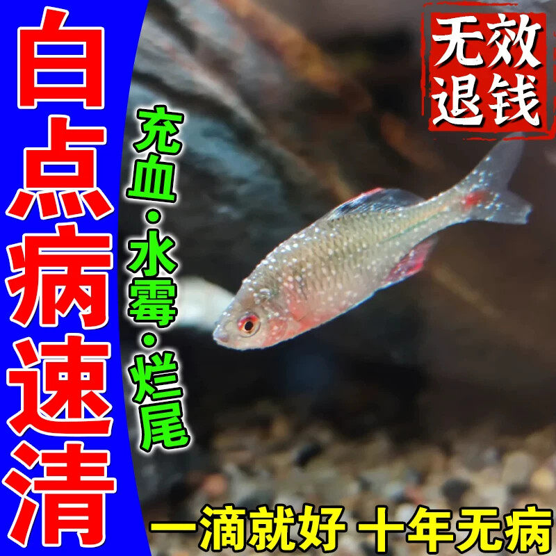 鱼白点病药锦鲤观赏鱼白点净小瓜虫鱼药治烂尾专用身上长白点速清
