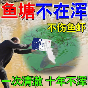 水立清浊水净池塘水质净化浑浊污水产养殖鱼塘变清除藻去苔净水剂