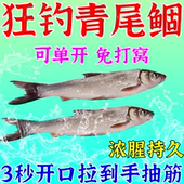青尾鲴专用饵料专攻青黄红尾鲴鱼户外野钓江河溪流钓超浓腥打窝料