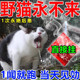野猫专用野猫强力驱赶神器室外长效防猫叫爬车比粉好用驱流浪猫药