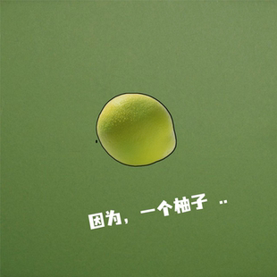 NI.CCC LABO一个柚子 清新大柚子天然植物精油车用香薰包解压果香