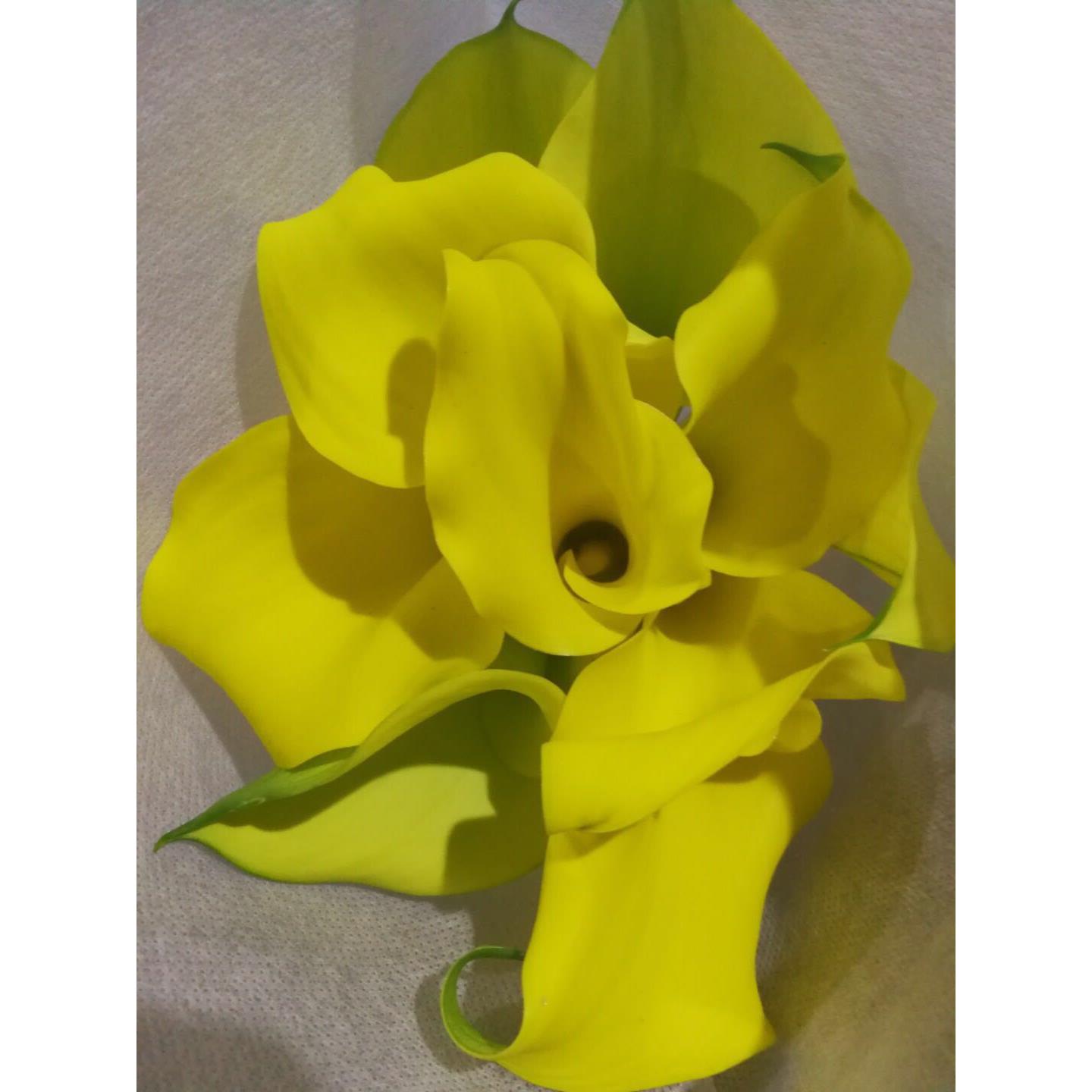 国产马蹄莲白色鲜切花水培婚礼手捧花客饭厅家庭插花云南基地直发