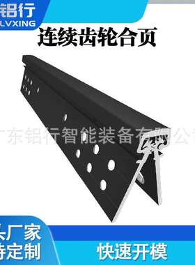 LX-H02黑色2108MM现货暗装重工装门耐腐蚀性铝合金连续齿轮合页