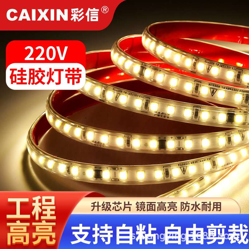 高亮工程专用AC220V/127V/36V/DC36V/24V/12V防水户外LED灯带灯条