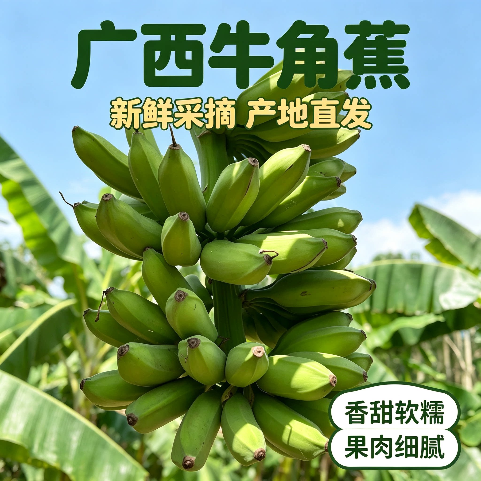 广西牛角蕉大芭蕉新鲜香蕉产地直发香甜软糯果肉细腻当季水果