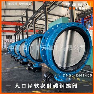 铸钢 DN700 球铁 双向密封 涡轮蜗杆法兰式 10Q 法兰蝶阀D341X 16Q