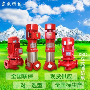山东东泵 现货大流量消火栓增压泵 立式 单级消防泵XBD自动喷淋泵