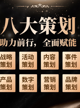 项目策划撰写活动品牌战略内容事件产品营销数字代写pptword