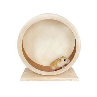 Ruer Wheels Idoor Hedgehog Hster 现货Silet Ruig