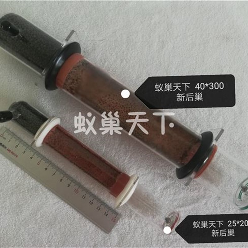 现货神器竹节00蚁巢天下新後巢40*试管巢暴产养蚁必需定制款