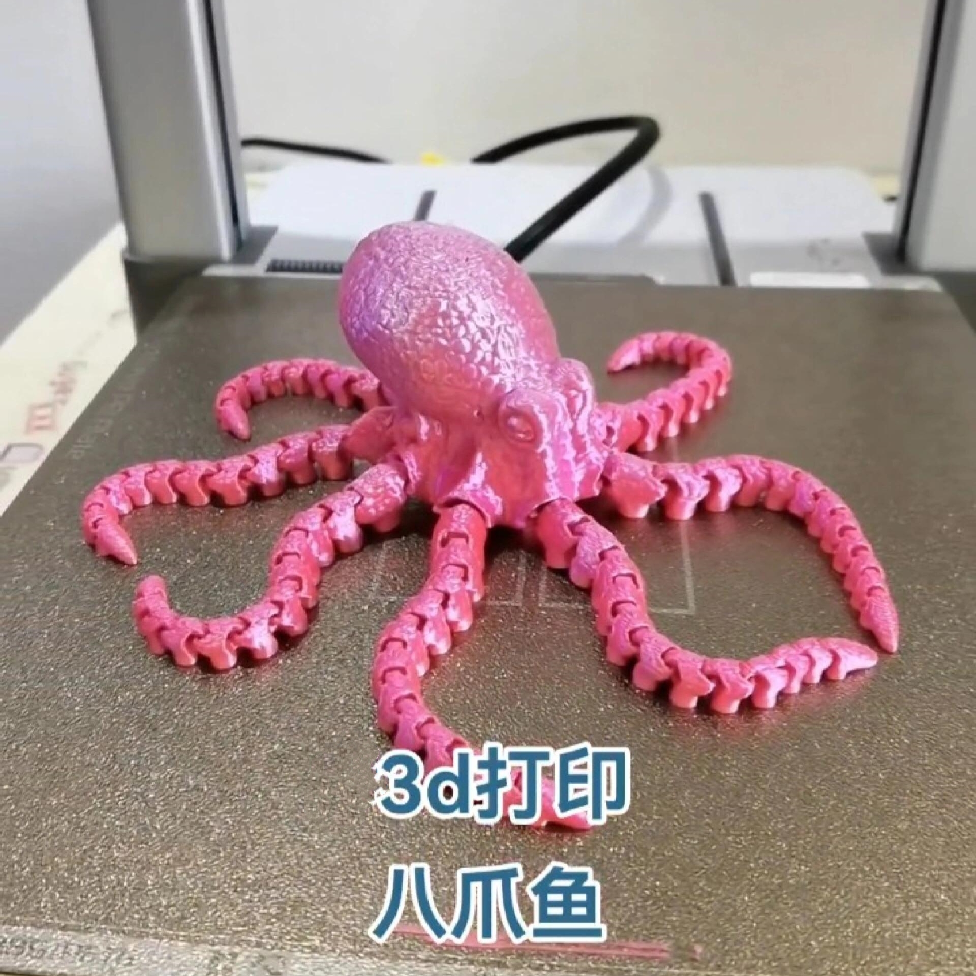 章鱼3D打印彩色关节可活动玩具礼物手办仿真八爪鱼缸造景桌面摆件