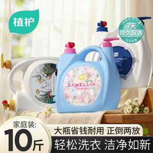 整箱去污渍除味正品 家用实惠装 洗衣液持久留香新款 植护10斤大桶装
