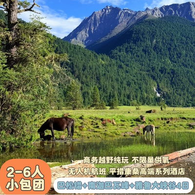 西藏林芝南巴迦瓦峰