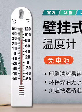 低温-50度冷库专用冰箱温度计