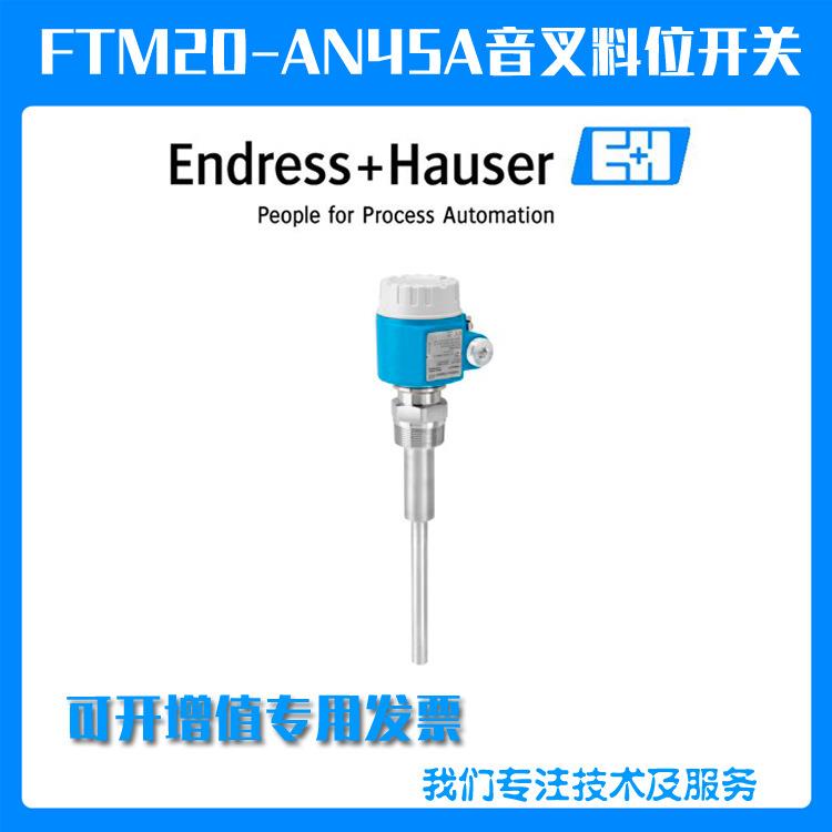 德国E+H恩德斯豪斯FTM20-AA25A一体化音叉开关
