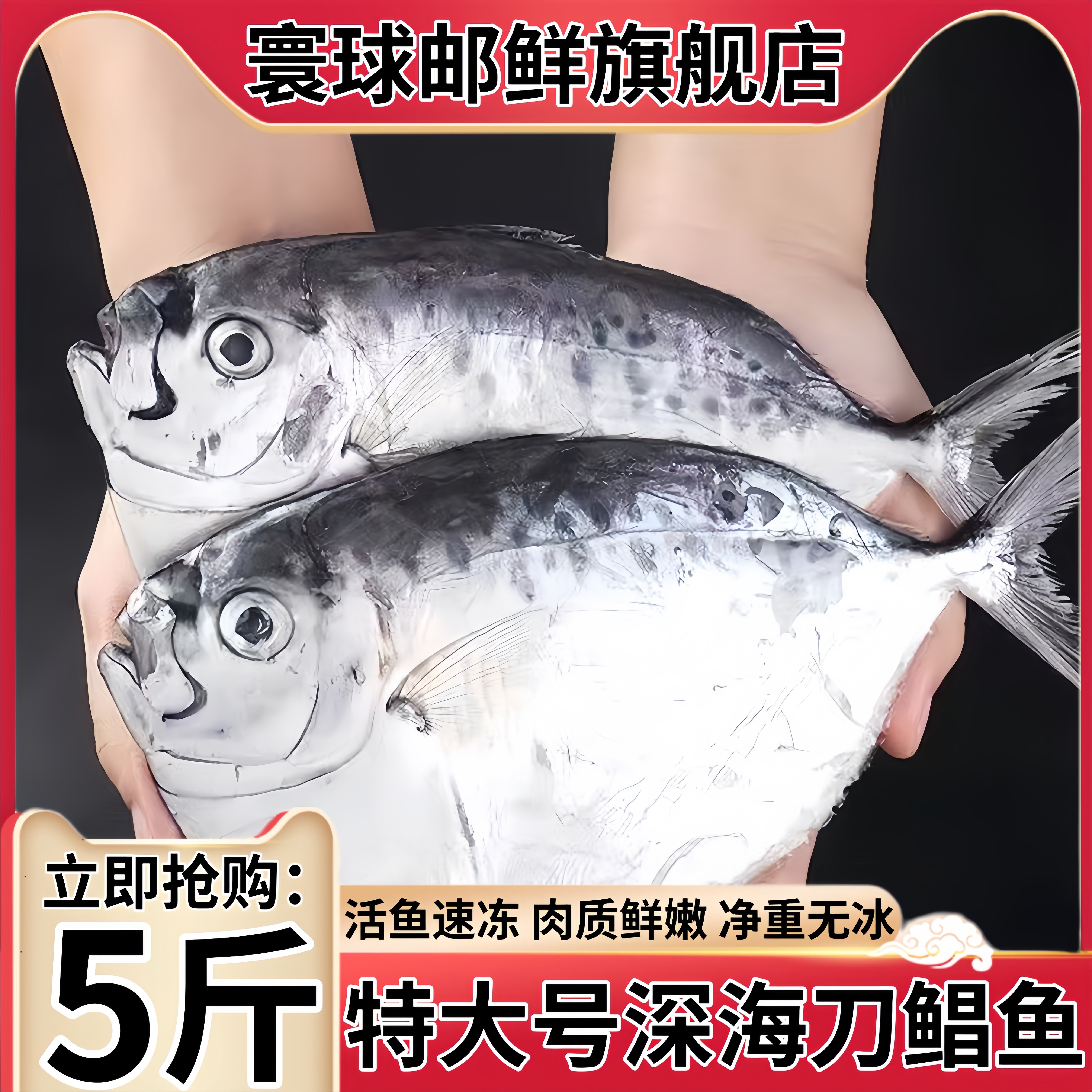 刀鲳鱼新鲜冷冻鲳鱼5斤约9-12条野生海鱼海鲜水产鲜活冰鲜海鱼