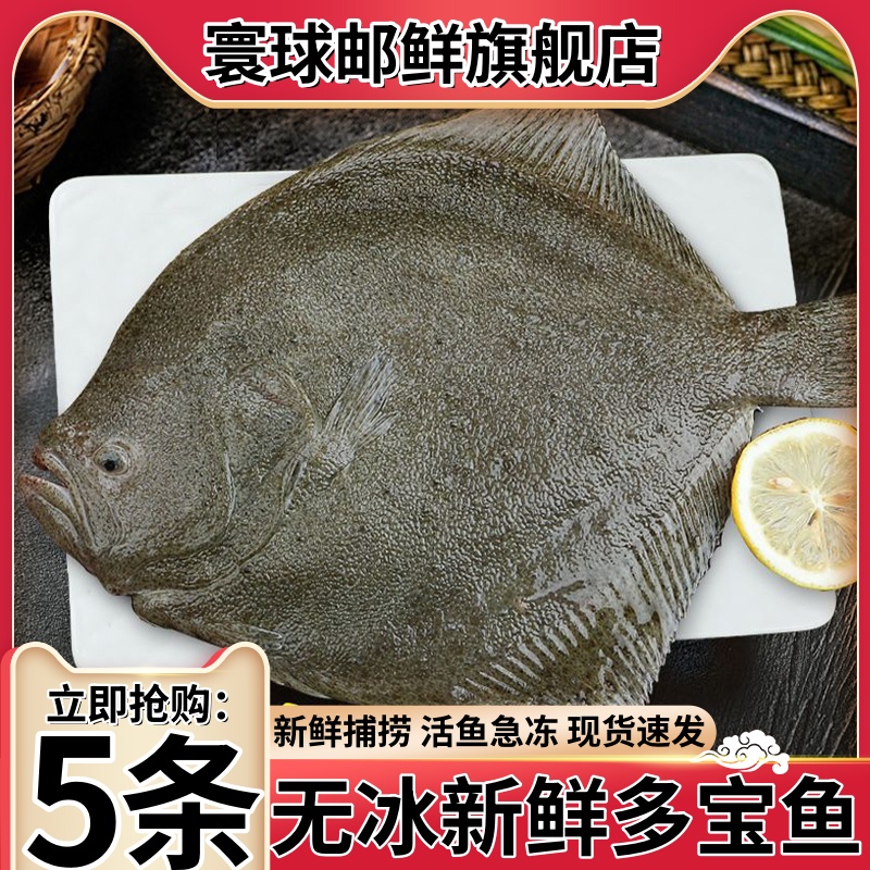 寰球邮鲜新鲜多宝鱼特价中顺丰发