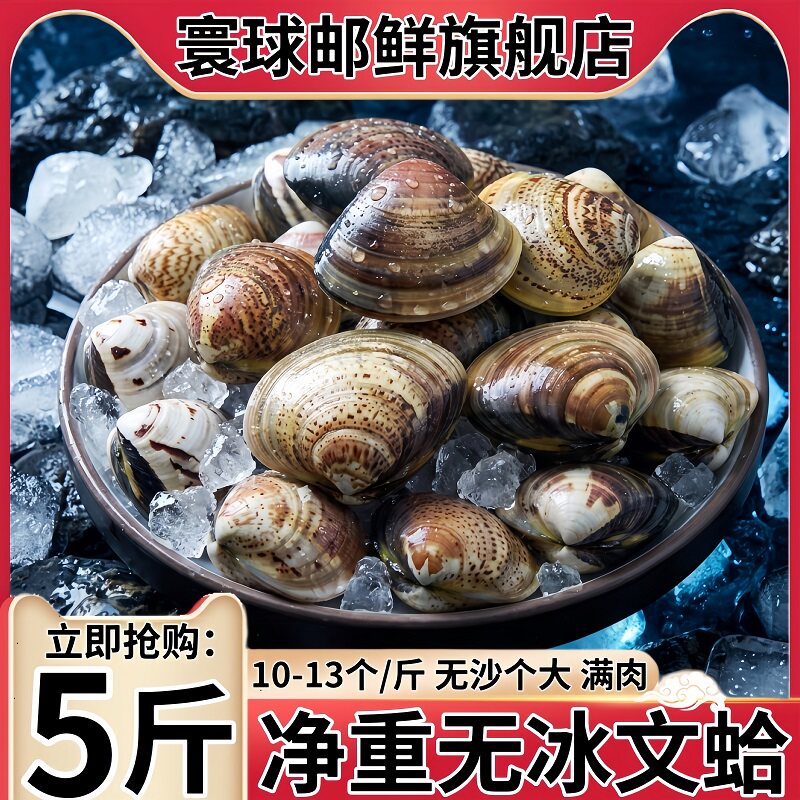 寰球邮鲜丹东大文蛤冷冻无沙大个