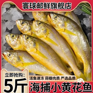 小黄花鱼新鲜冷冻黄鱼海鱼海鲜水产生鲜鱼类油炸香酥小黄鱼批发价