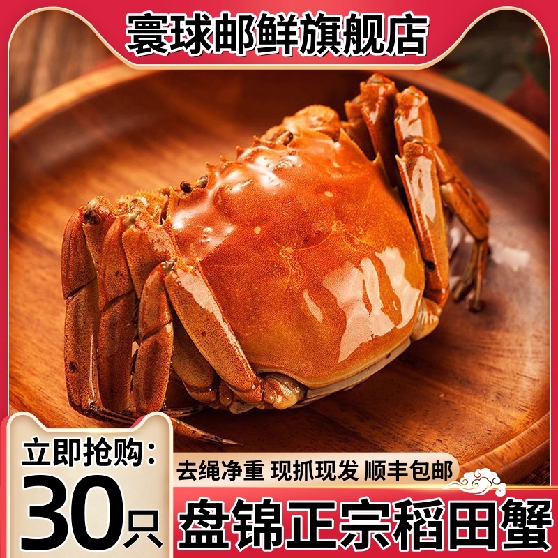 寰球邮鲜盘锦直发正宗盘锦河蟹