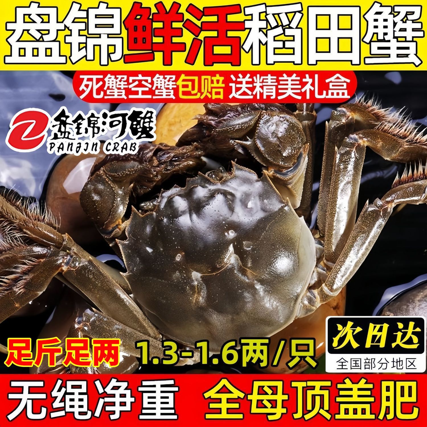 【寰球邮鲜】活蟹盘锦河蟹地理标志正宗稻田蟹空运发足斤足两16只