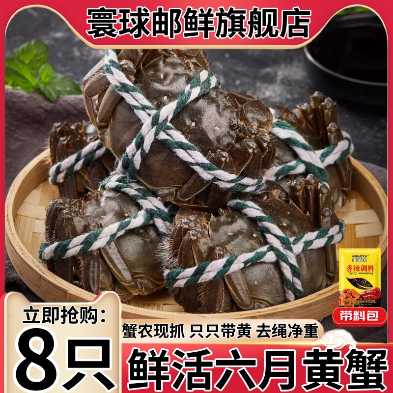 正宗盘锦河蟹六月黄蟹鲜活稻田蟹
