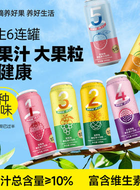 摘养果粒果汁聚会饮料草莓菠萝黄桃百香果饮490ml*5饮品家庭装