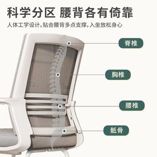 椅子电脑椅舒服久坐家用弓形椅办公椅宿舍大学生学习椅靠背书桌凳