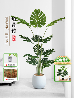 Monstera人造绿色植物客厅大盆栽优雅的可访问的豪华景观美化装饰