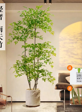 2025南天竹彷真绿色植物大型室内落地盆栽客厅摆件装饰花假树彷生