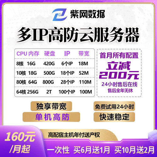 多ip云服务器站群物理服务器租用