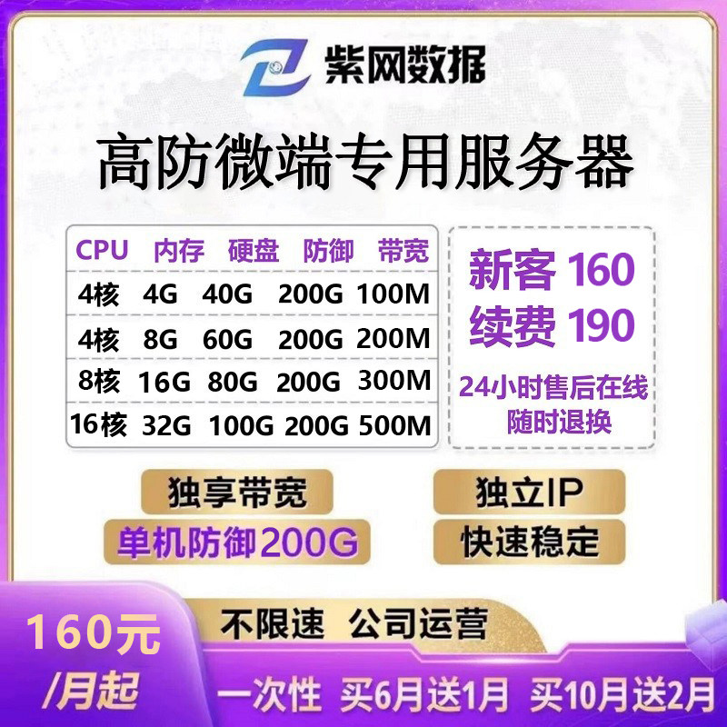 高防大带宽微端云服务器租赁湖北高防服务器出租带宽独享电信秒解