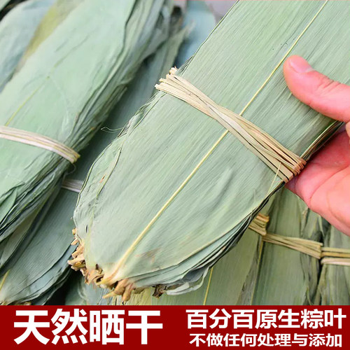 今年新货天然箬竹干粽叶
