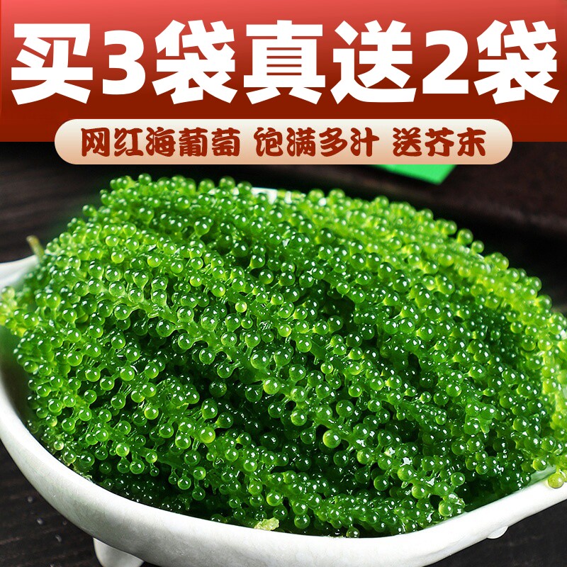 【买3送2】儿童海葡萄新鲜即食盐渍海带海洋蔬菜绿色鱼子酱海藻菜