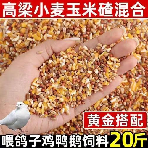 高梁麦子玉米碎混合喂鸡粮