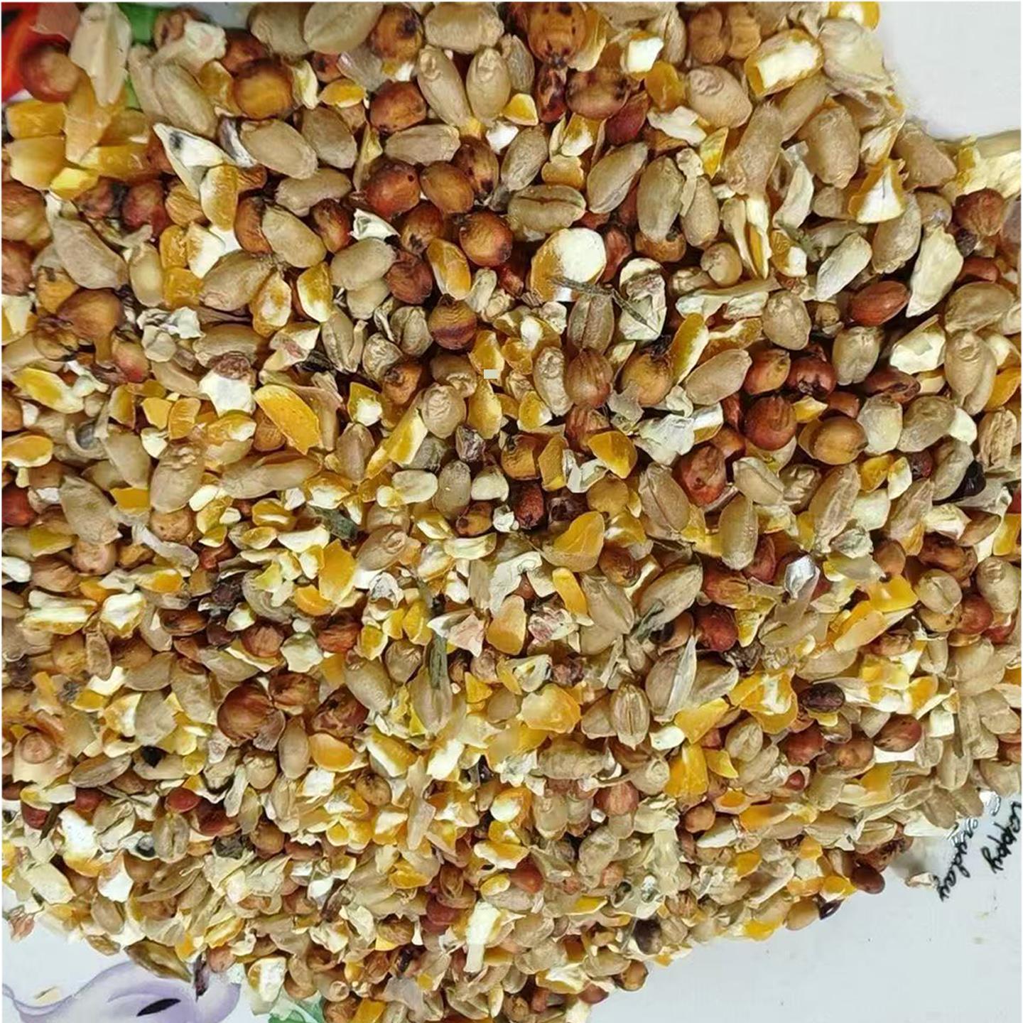 高梁麦子玉米碎混合喂鸡