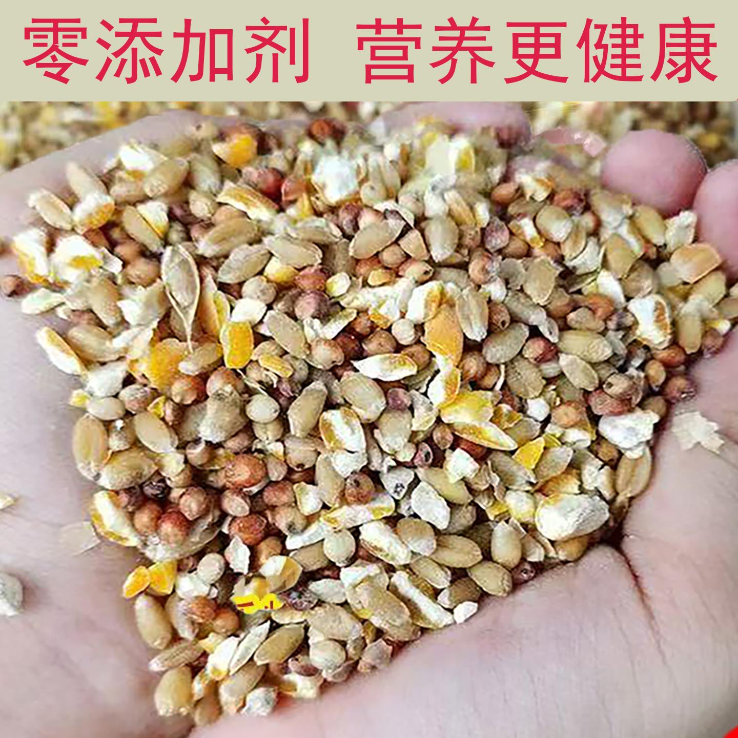 高梁麦子玉米碎混合喂鸡