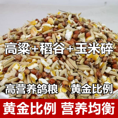 高粱稻谷玉米碎粒混合喂鸡粮食