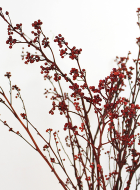 灯台干花真树枝装饰插花红色干枝禅意中式摆饰橱窗造景家居插花