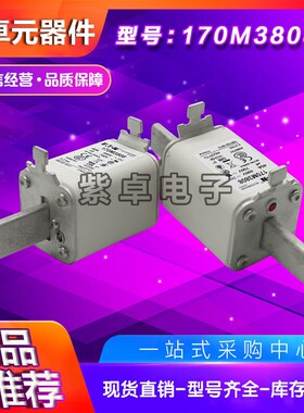170M3718 170M3719 170M3720 170M3721 170M3722 170M3723熔断器