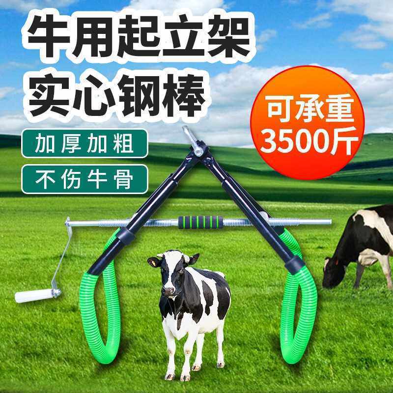 牛起立架加厚大牛辅助站立器母牛保定器提牛器牛用支撑架养牛设备