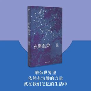 艺文志新书夜路温柔冯渊正版包邮上海文艺出版社 冯渊散文集随笔 艺文志·心声 以温柔为核心的生命书写让人重新获得沉静的力量