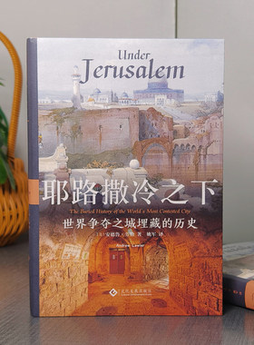耶路撒冷之下  安德鲁·劳勒 世界争夺之城埋藏的历史 世界史 考古  文化发展出版社 正版书籍包邮