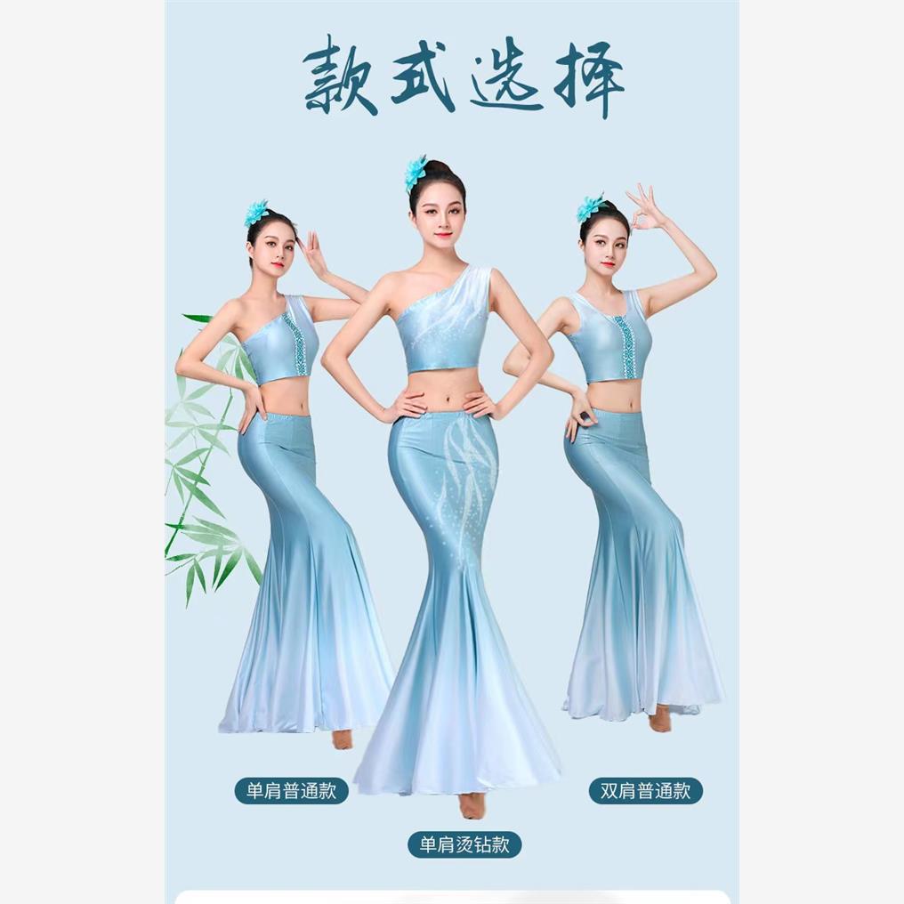 傣族舞蹈演出服艺考服装