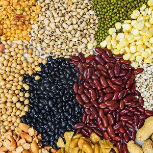 Indian pules 印度豆子 moong dal Chana dal red dal 1kg Rajma