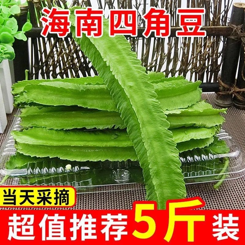 新鲜四角豆24小时内发货不预售