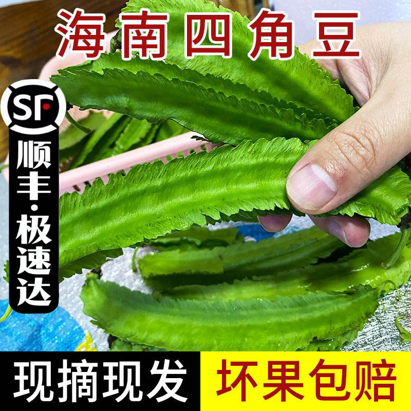 【顺丰】海南特产新鲜蔬菜5斤四角豆龙豆杨桃豆四棱豆皇帝豆包邮
