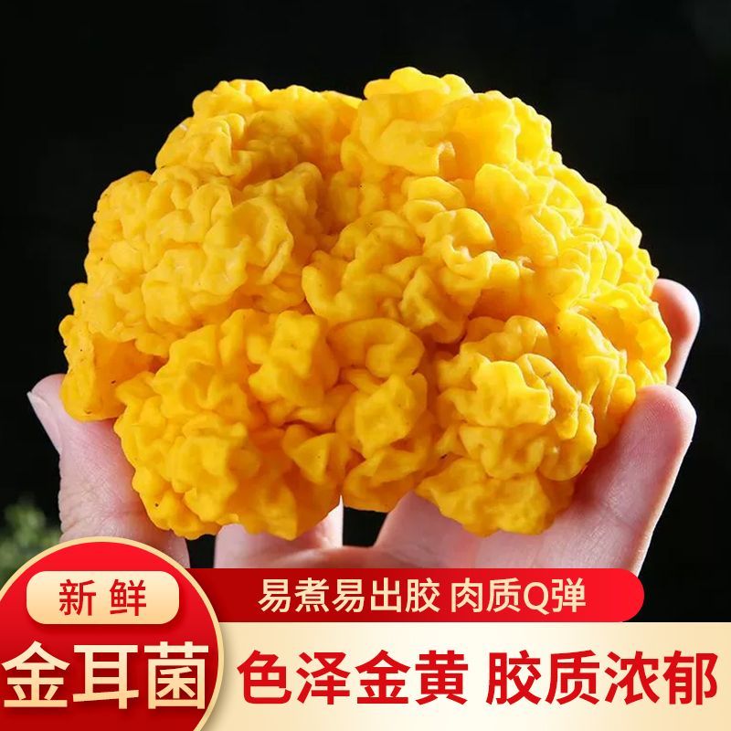 新鲜金耳顺丰包邮冷链送货上门